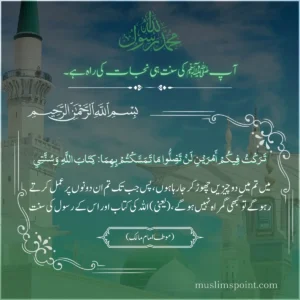 ربيع الأول کے نایاب اور جامع اقتباسات