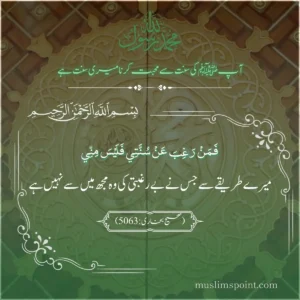 ربيع الأول کے نایاب اور جامع اقتباسات